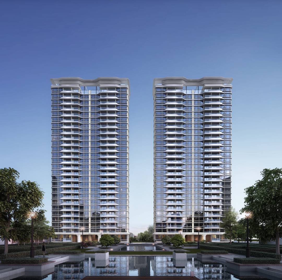 1653877506462611.jpg zg1.jpg