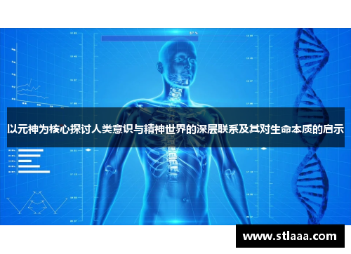 以元神为核心探讨人类意识与精神世界的深层联系及其对生命本质的启示
