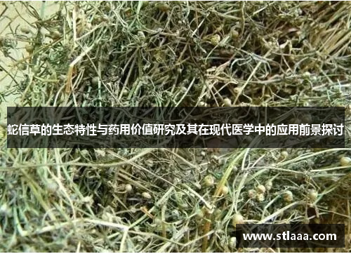 蛇信草的生态特性与药用价值研究及其在现代医学中的应用前景探讨