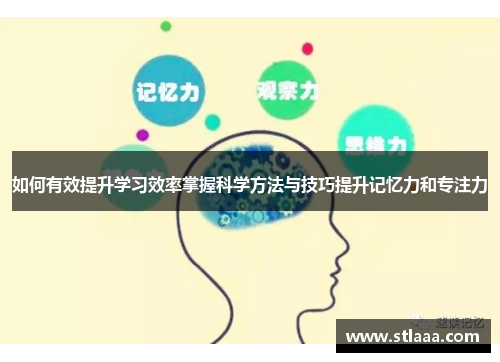如何有效提升学习效率掌握科学方法与技巧提升记忆力和专注力
