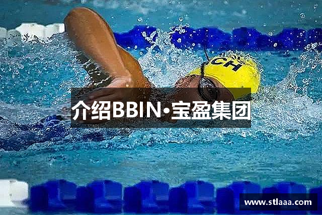 介绍BBIN·宝盈集团